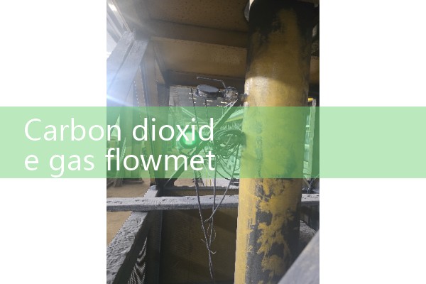 Carbon dioxide gas flowmeter